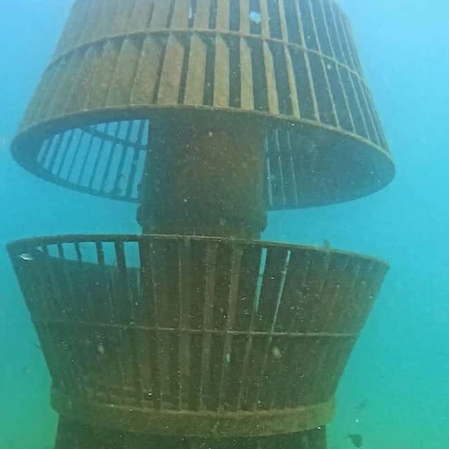 Albufeira: Double Ocean Dive for Certified Divers - What’s Included and Not