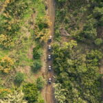 Albufeira: Full-Day Buggy Driving Tour with Lunch Included - Authentic Experiences and Real Reviews