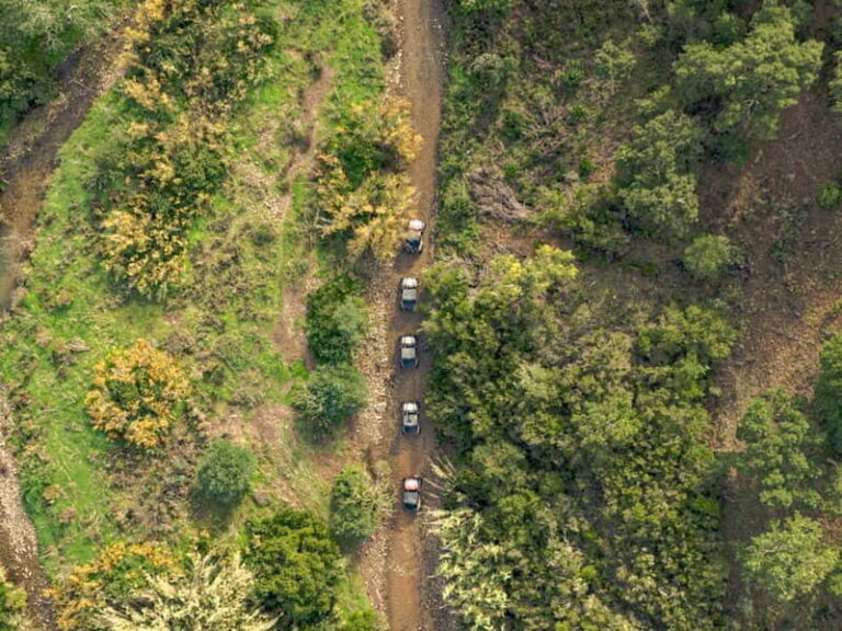 Albufeira: Full-Day Buggy Driving Tour with Lunch Included - Authentic Experiences and Real Reviews