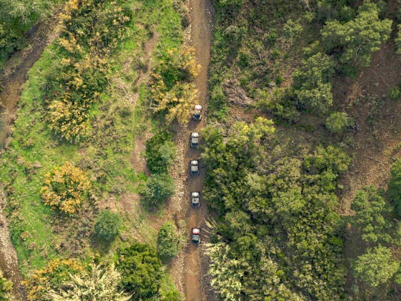 Albufeira: Full-Day Buggy Driving Tour with Lunch Included - Authentic Experiences and Real Reviews