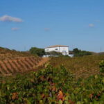 Albufeira, Olhão, Faro: visit to a vineyard, free time in Silves - Practicalities and Value