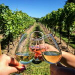 Albufeira: Wine Tasting Tour with Castle and Windmill Visit - Why This Tour Offers Great Value