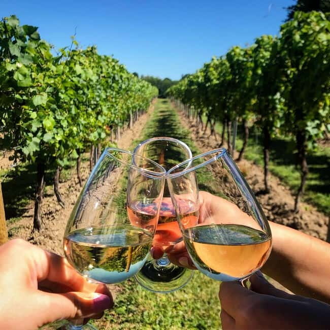 Albufeira: Wine Tasting Tour with Castle and Windmill Visit - Why This Tour Offers Great Value