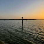 Albufera Bike Adventure: Wetlands, Beaches & Biodiversity - The Bike and Equipment Experience