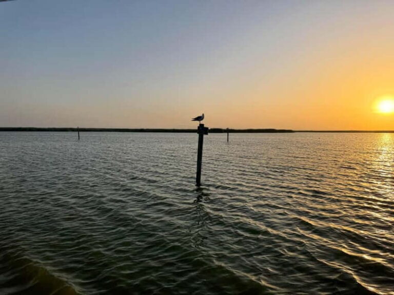 Albufera Bike Adventure: Wetlands, Beaches & Biodiversity - The Bike and Equipment Experience  