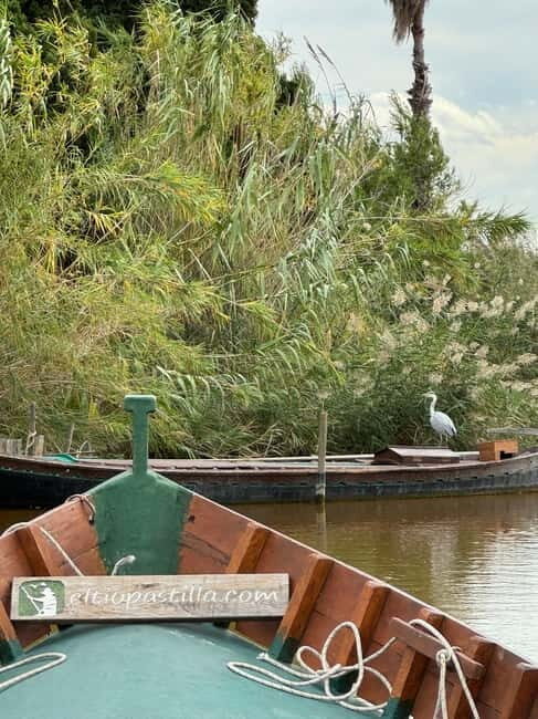 Albufera de Valencia: Guided boat ride through the Albufera - The Sum Up