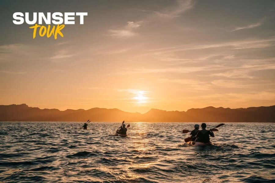 Alcudia: Kayaking Tour with Snorkel & Sea Cave Swim - What You Need to Know Before You Go