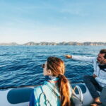 Alcudia or Can Picafort: Dolphin-Watching Cruise - What’s Included and What You Should Know