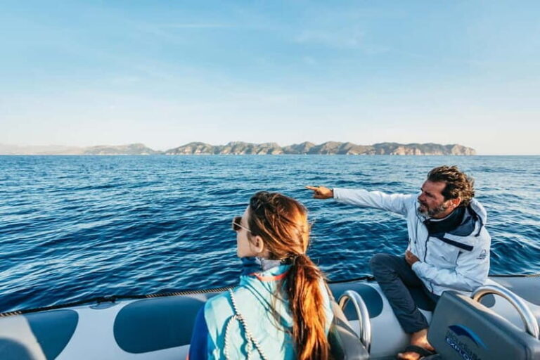 Alcudia or Can Picafort: Dolphin-Watching Cruise - What’s Included and What You Should Know