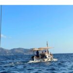 Alcudia & Pollensa Private Boat Tour, Captain, Fuel, Snorkel - A Closer Look at the Experience