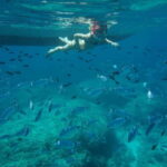 Alcudia: Sea Caves Coves and Snorkeling in small groups - What Makes This Tour Stand Out?