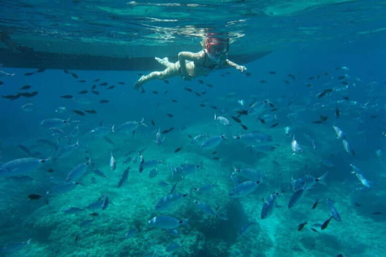 Alcudia: Sea Caves Coves and Snorkeling in small groups - What Makes This Tour Stand Out?