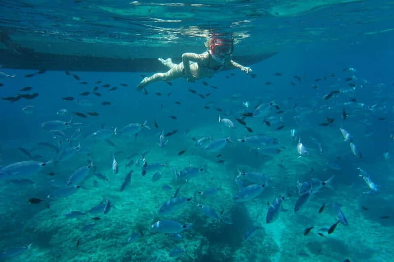 Alcudia: Sea Caves Coves and Snorkeling in small groups - What Makes This Tour Stand Out?