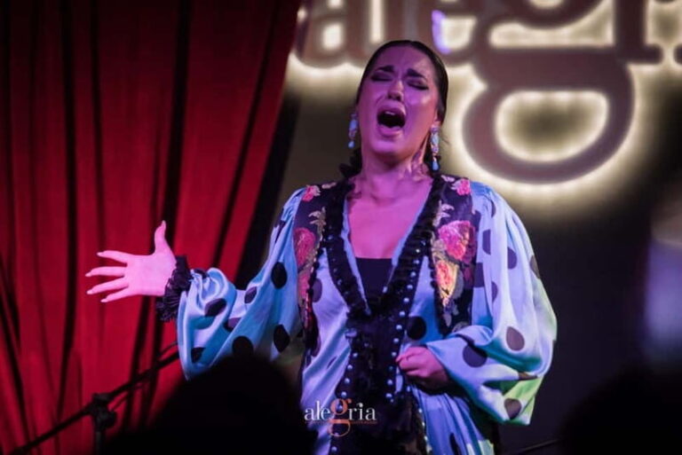 Alegria Flamenco in Malaga, with Transfer, Cocktail and Premium Location - The Itinerary: Step-by-Step