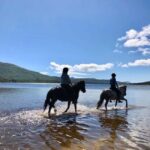 Ålesund: Sunnmøre Horseback Riding Tour with Guide - What to Expect from the Sunnmøre Horseback Riding Tour