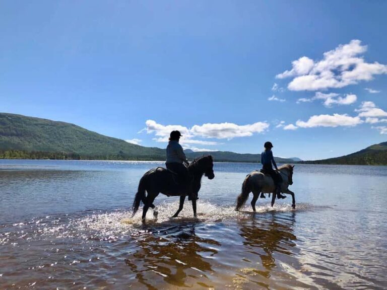 Ålesund: Sunnmøre Horseback Riding Tour with Guide - What to Expect from the Sunnmøre Horseback Riding Tour