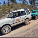 Algarve: 4x4 Safari Tour - from Coastal Wonders to Rural Treasures - Why This Tour Offers Great Value