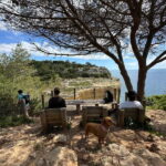 Algarve: 7 Seven Hanging Valley Hike Tour- Photos & Transfer - Why This Tour is a Good Deal