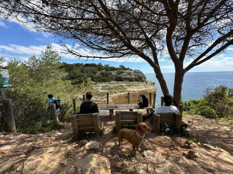 Algarve: 7 Seven Hanging Valley Hike Tour- Photos & Transfer - Why This Tour is a Good Deal