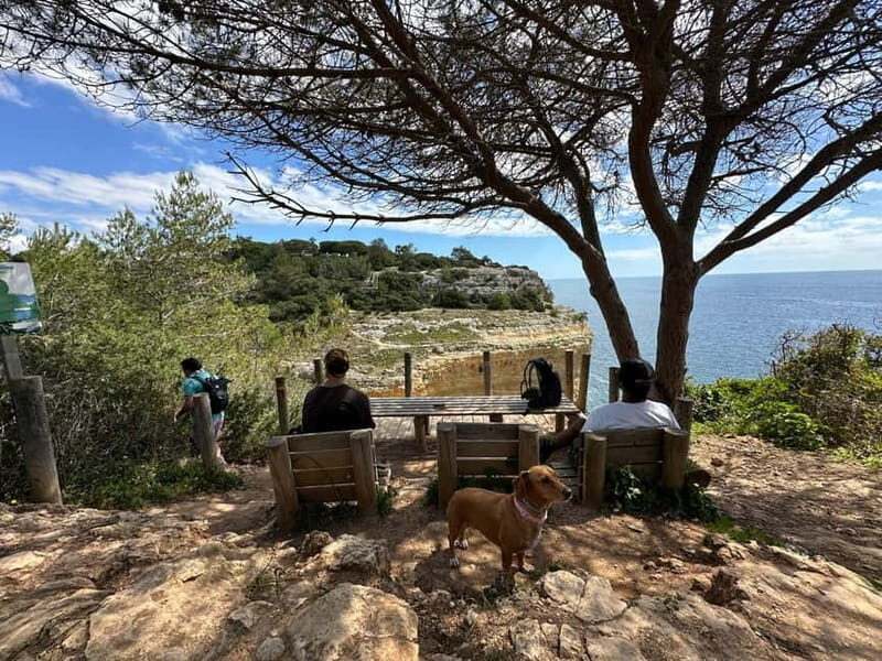 Algarve: 7 Seven Hanging Valley Hike Tour- Photos & Transfer - Why This Tour is a Good Deal