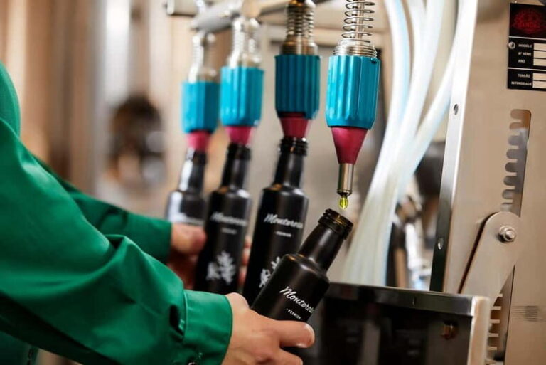 Algarve: Olive Oil, Market, and Ria Formosa Boat Tour - An In-Depth Look at the Algarve: Olive Oil, Market, and Ria Formosa Tour