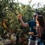 Algarve: Silves, Orange Grove & Monchique Mountains Tour - Who Will Love This Tour?