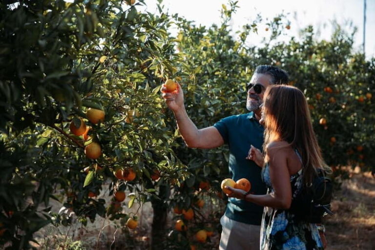 Algarve: Silves, Orange Grove & Monchique Mountains Tour - Who Will Love This Tour?