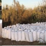 ALGARVE'S CAROB TRAIL - Exploring the Itinerary in Detail