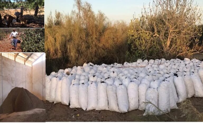 ALGARVE'S CAROB TRAIL - Exploring the Itinerary in Detail