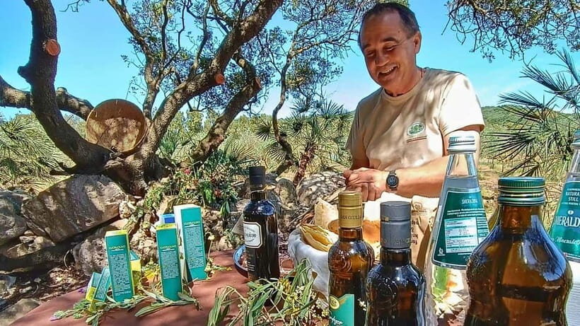 Alghero: Olive Grove Visit with Olive Oil Tasting - The Value of the Experience