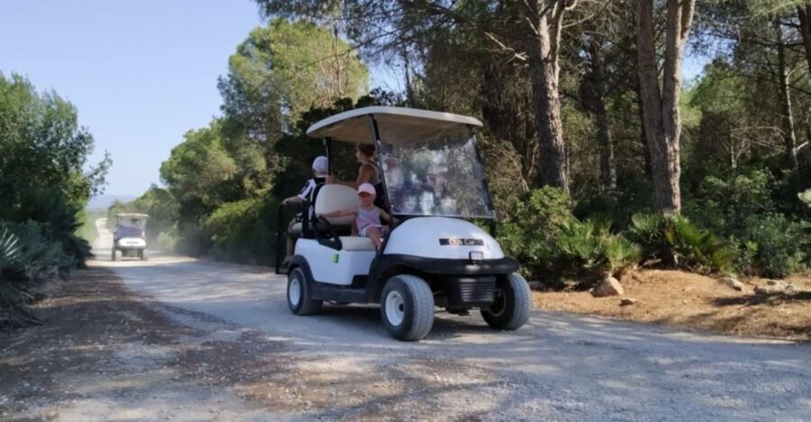 Alghero: sunset sailing tour from Fertilia - The Value and Why It Works