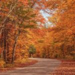 Algonquin Shuttle from Toronto - Trail Highlights and Authentic Experiences