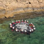 Alicante: Coasteering Adventure in Villajoyosa - Why Choose Coasteering in Alicante?