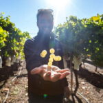 Alicante: Countryside Wine Tour with 4 Tastings - What Sets This Tour Apart?