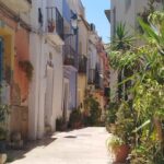 Alicante Essentials: 2-Hour Walking Tour with a Local Guide - The Practicalities and Value