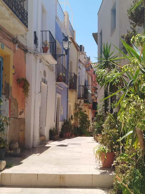 Alicante Essentials: 2-Hour Walking Tour with a Local Guide - The Practicalities and Value