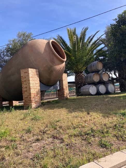 Alicante: Wine tasting tour with transfer - An In-Depth Look at the Tour