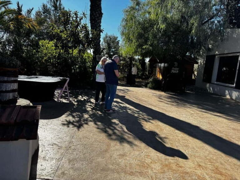 Alicante; Wine Tour Wineries, Food, and Transportation Included - Overview of the Alicante Wine Tour Experience  