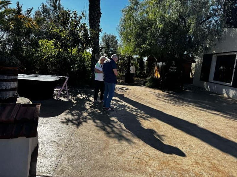 Alicante; Wine Tour Wineries, Food, and Transportation Included - Overview of the Alicante Wine Tour Experience