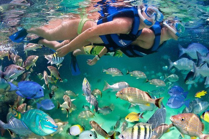 All inclusive catamaran tour to Isla Mujeres with snorkeling for the best price - Authentic Experiences from Reviewer Insights  