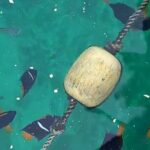 All-inclusive Colomitos cruise and Animas beach snorkeling - Who Is This Tour Best For?