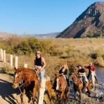 All-Inclusive Horseback Riding on the Beach in Mexico - Authentic Insights from Reviews and Real Experiences