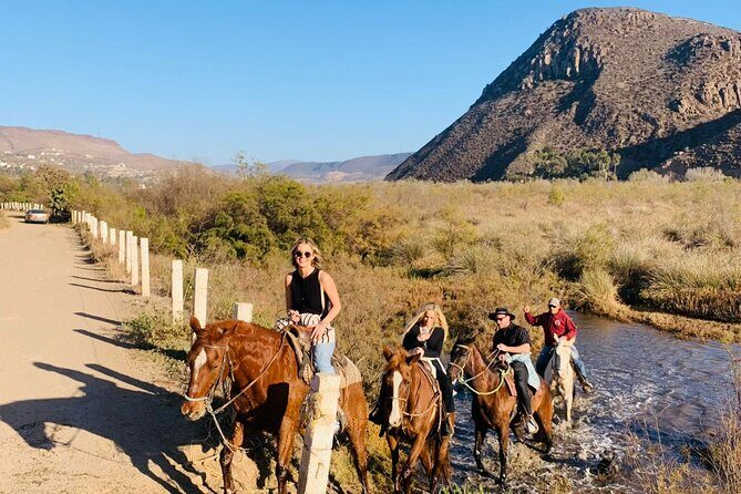 All-Inclusive Horseback Riding on the Beach in Mexico - Authentic Insights from Reviews and Real Experiences