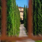 All Tuscany Wine Tour - An In-Depth Look at the Tuscany Wine Tour