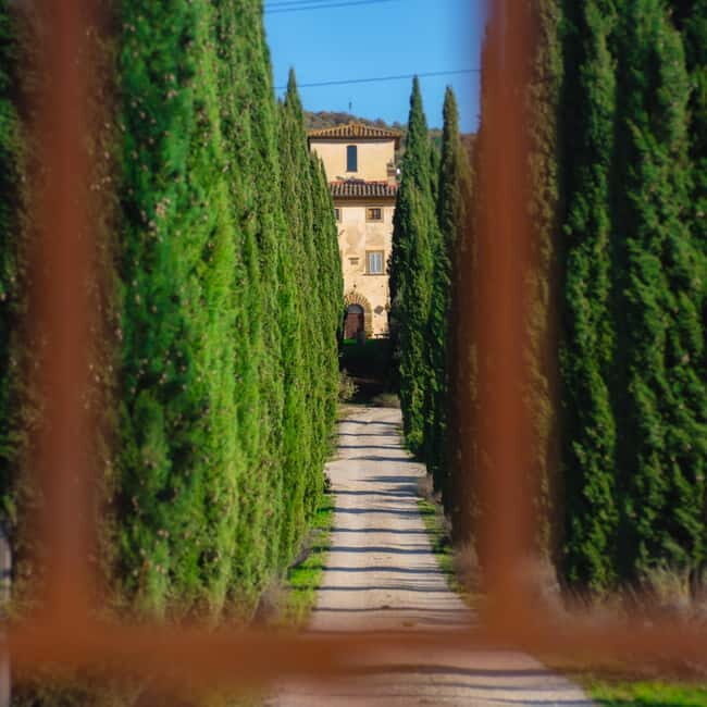 All Tuscany Wine Tour - An In-Depth Look at the Tuscany Wine Tour