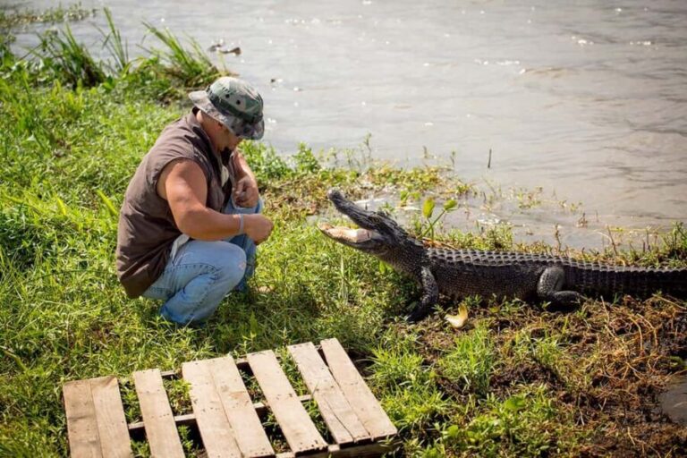 Alligator Swamp Tour by Gray Line New Orleans - The Value for Money