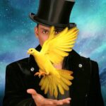 Allstars of Magic at Planet Hollywood Las Vegas - Authentic Insights from Reviews