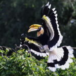 Alphen aan den Rijn: Avifauna Bird Park Entry Ticket - How We Experience the Park