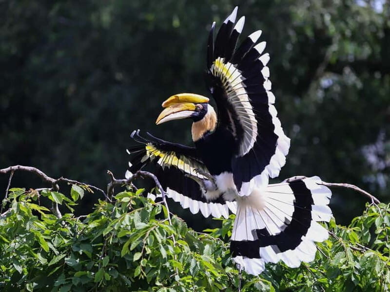 Alphen aan den Rijn: Avifauna Bird Park Entry Ticket - How We Experience the Park