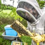 Alpilles: Discover vineyards and farms by electric bike - The Details: Practical Tips and Insights